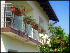 DOMINOX: Inox balkonska ograja in nosilci za rože  